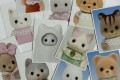 실바니안 증사