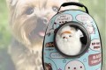 [무료배송] 강아지 이동장 고양이 이동가방 애견 이동장 그래픽민트