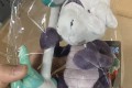 포켓몬센터 2016 포켓몬중형