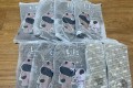 라비앙독 사료7봉+ 더리얼 그레인프리 닭고기 퍼피2봉