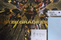 MGEX 스트라이크 프리덤 + 델피데칼 판매합니다!