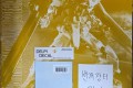 MG 골드 프레임 + 델피데칼 판매합니다!