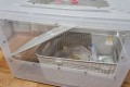 햄스터 용품 리빙박스 120L 판매합니다. (기타 물품 덤으로 드려요)