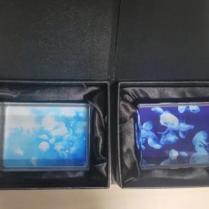 해파리 문진