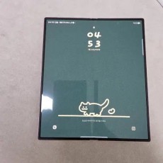 폴드6 256