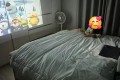 르바타 빔프로젝트 E431S, 프로젝터