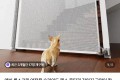 강아지 , 아이 방문 파티션 롤스크린 펜스 안전문
