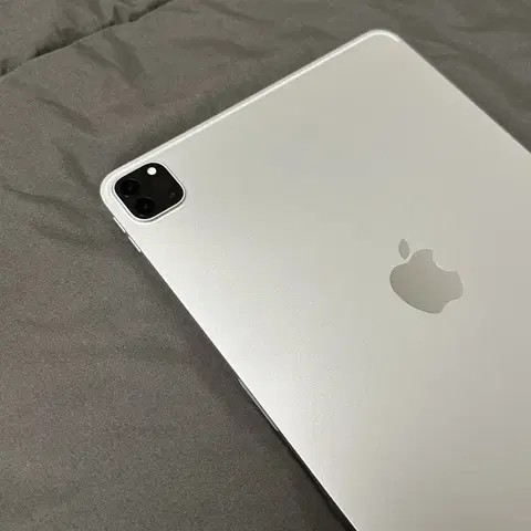 아이패드 프로11 M2 256GB