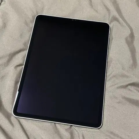 아이패드 프로11 M2 256GB