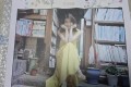 아이유 꽃갈피 lp 단순개봉