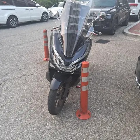 pcx125 2020년