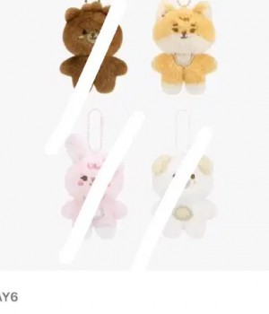 데이식스 쁘쁘멀 케