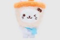 위시돌 유우시 버블냥 교환 / 재판 버블냥 -> 초판 버블냥