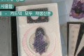 좀비고 마법고 리미티드 에디션 풀셋트 판매