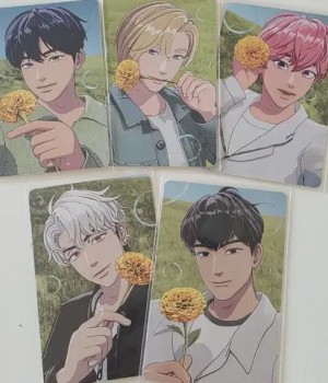 플레이브) 메디힐 2차 포카만 판매합니다.